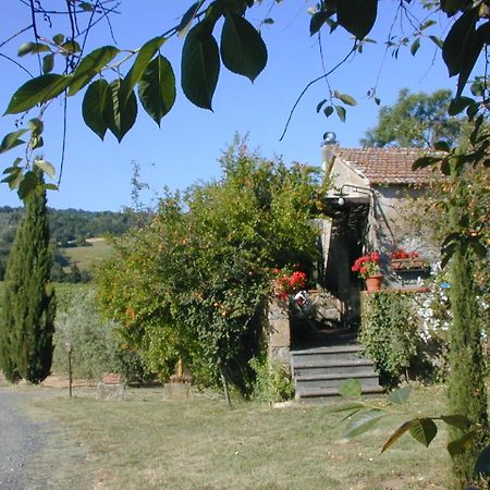 Villa Piccolo Sole à Montescudaio Extérieur photo