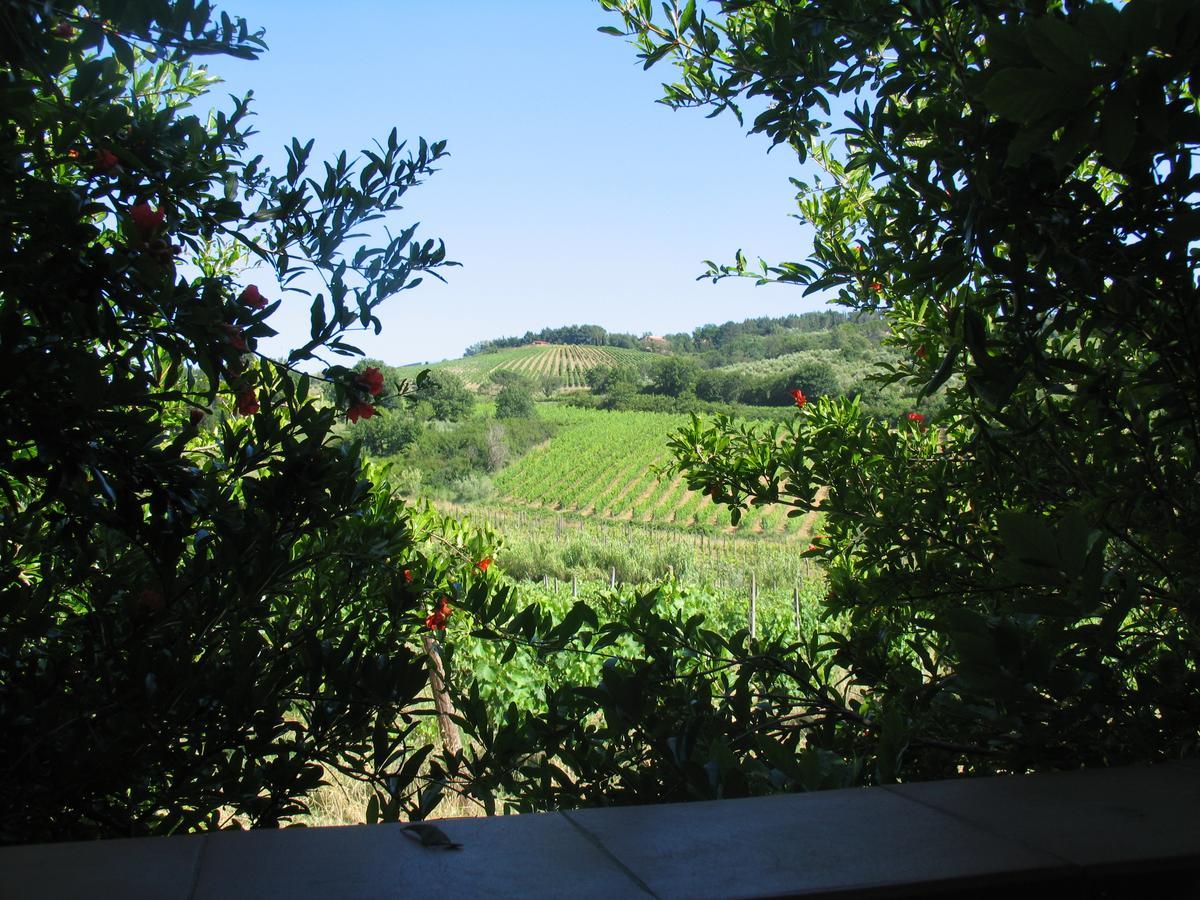 Villa Piccolo Sole à Montescudaio Extérieur photo