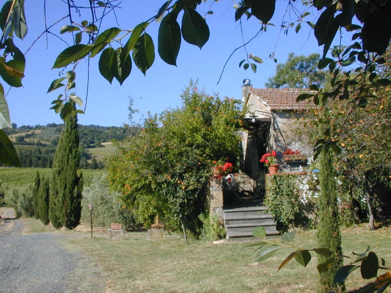 Villa Piccolo Sole à Montescudaio Extérieur photo