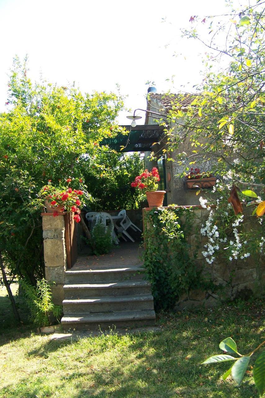 Villa Piccolo Sole à Montescudaio Extérieur photo