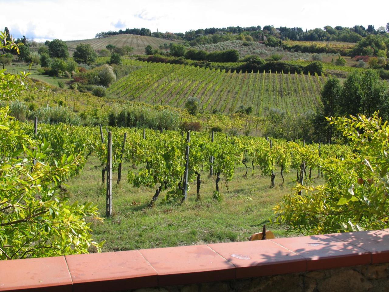 Villa Piccolo Sole à Montescudaio Extérieur photo